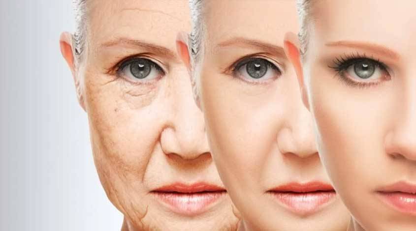 Încetinirea îmbătrânirii prin celulele Stem